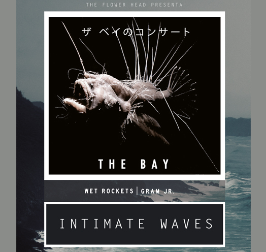 INTIMATE WAVES
