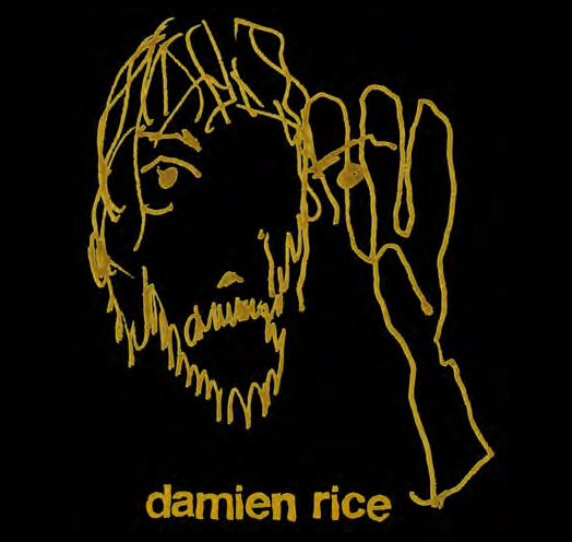 DAMIEN RICE