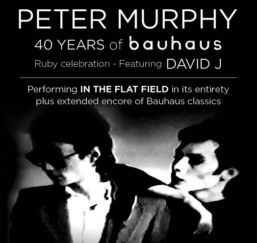 PETER MURPHY AND DAVID J - 40 AÑOS DE BAUHAUS: IN THE FLAT FIELD