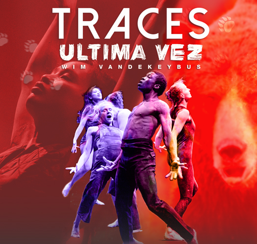 TRACES DE WIM VANDEKEYBUS / ÚLTIMA VEZ