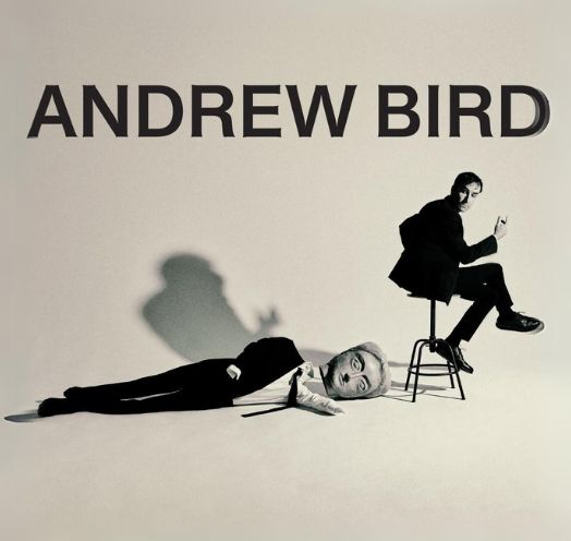 ANDREW BIRD