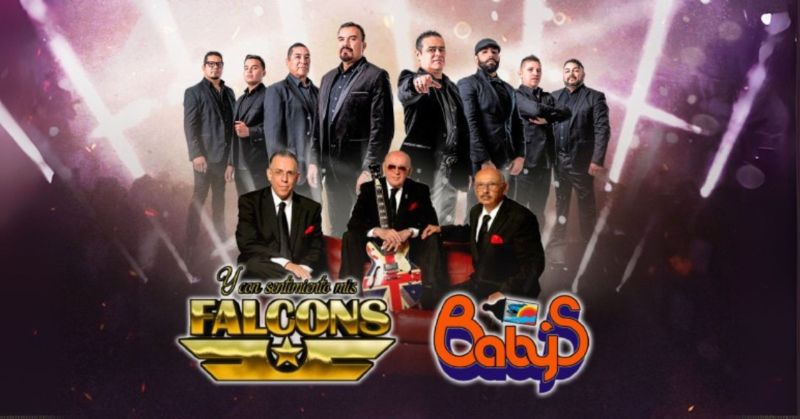 LOS BABYS Y LOS FALCONS