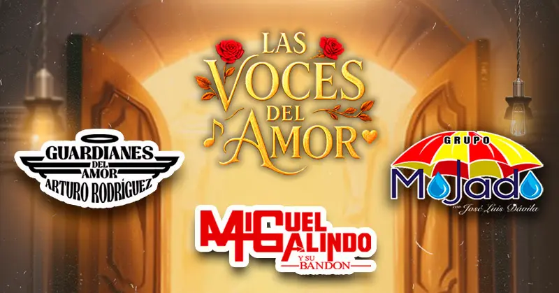 LAS VOCES DEL AMOR VOL. 3